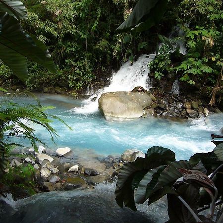 Blue River Resort & Hot Springs El Gavilan Dış mekan fotoğraf